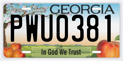 GA license plate PWU0381