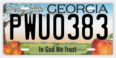 GA license plate PWU0383
