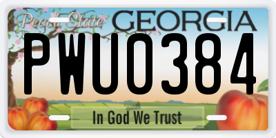 GA license plate PWU0384