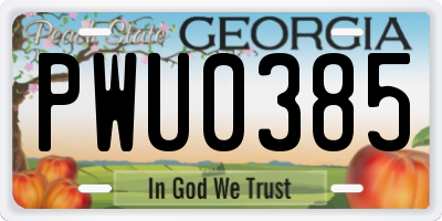 GA license plate PWU0385