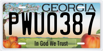 GA license plate PWU0387