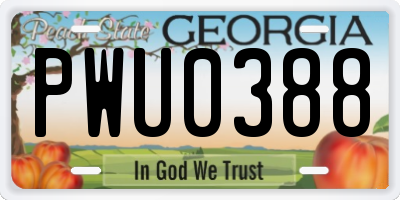 GA license plate PWU0388