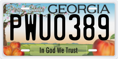 GA license plate PWU0389