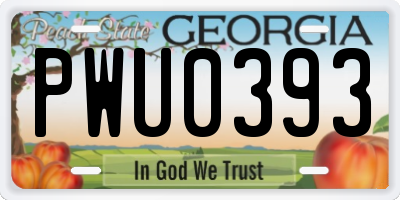 GA license plate PWU0393