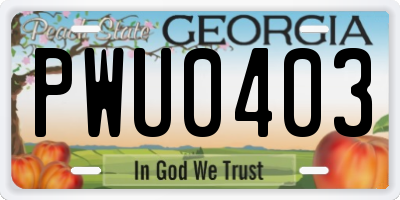 GA license plate PWU0403