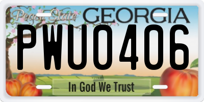 GA license plate PWU0406