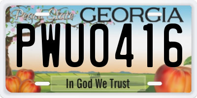 GA license plate PWU0416