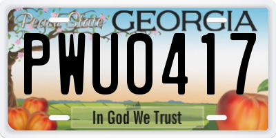 GA license plate PWU0417