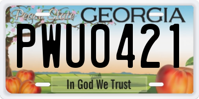 GA license plate PWU0421