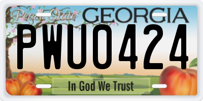 GA license plate PWU0424