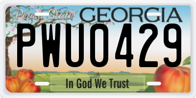 GA license plate PWU0429