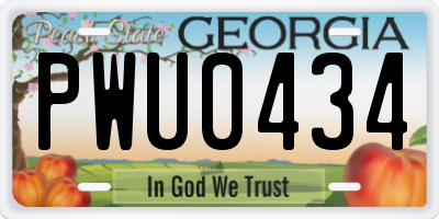 GA license plate PWU0434