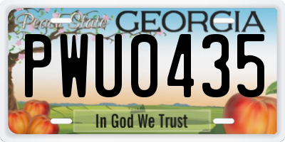 GA license plate PWU0435