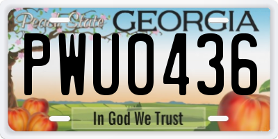 GA license plate PWU0436