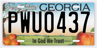 GA license plate PWU0437