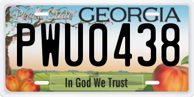GA license plate PWU0438