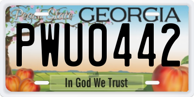GA license plate PWU0442