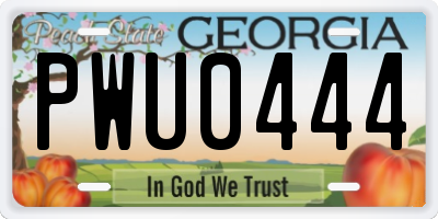 GA license plate PWU0444