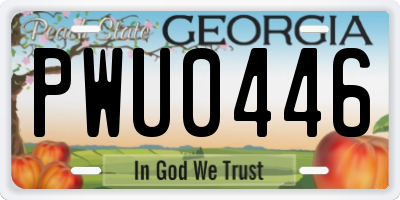 GA license plate PWU0446