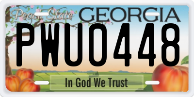 GA license plate PWU0448