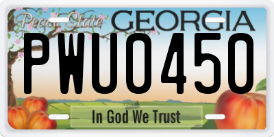 GA license plate PWU0450