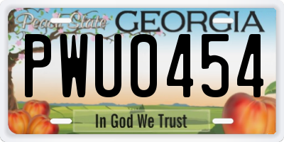 GA license plate PWU0454