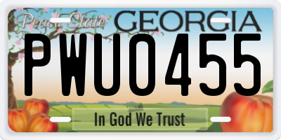 GA license plate PWU0455
