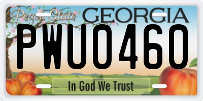 GA license plate PWU0460