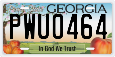 GA license plate PWU0464