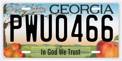 GA license plate PWU0466