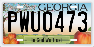 GA license plate PWU0473