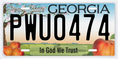 GA license plate PWU0474