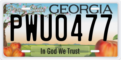 GA license plate PWU0477