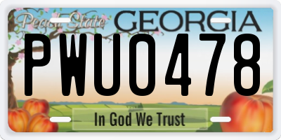 GA license plate PWU0478