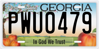 GA license plate PWU0479