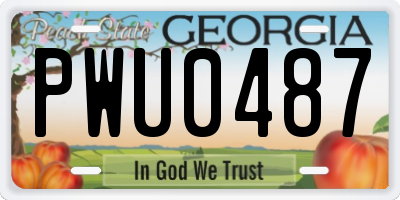 GA license plate PWU0487