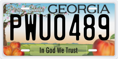 GA license plate PWU0489