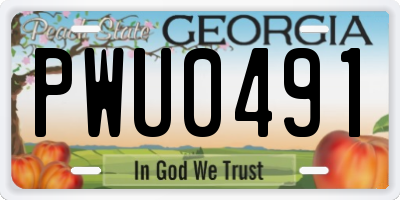 GA license plate PWU0491