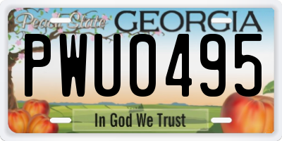 GA license plate PWU0495