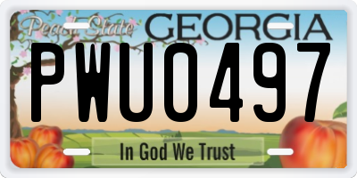 GA license plate PWU0497