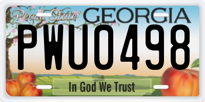 GA license plate PWU0498