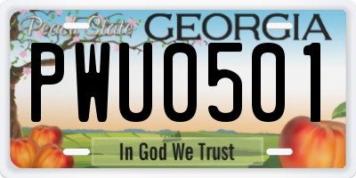 GA license plate PWU0501