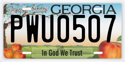GA license plate PWU0507
