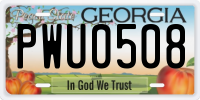 GA license plate PWU0508