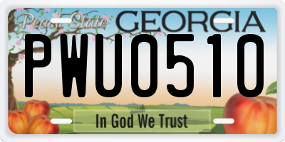 GA license plate PWU0510