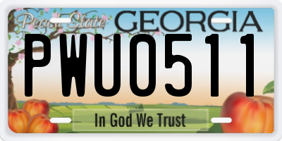 GA license plate PWU0511
