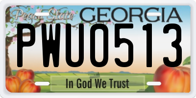 GA license plate PWU0513