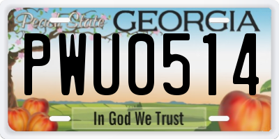 GA license plate PWU0514