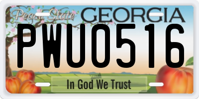 GA license plate PWU0516