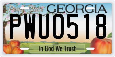 GA license plate PWU0518